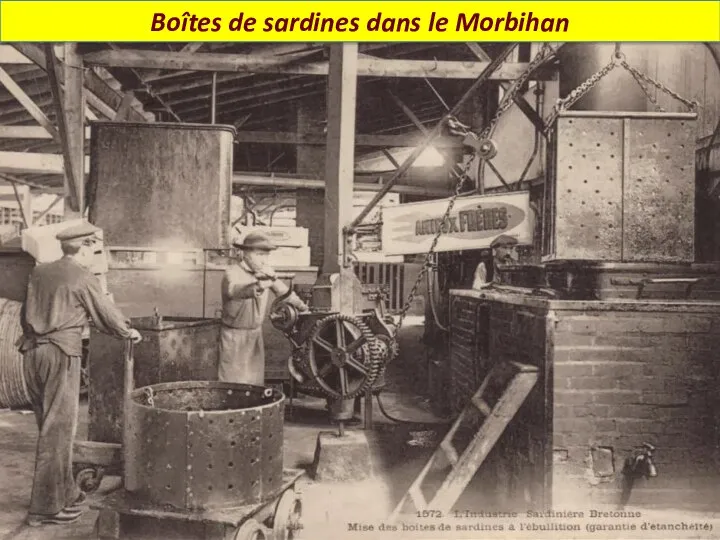 Boîtes de sardines dans le Morbihan