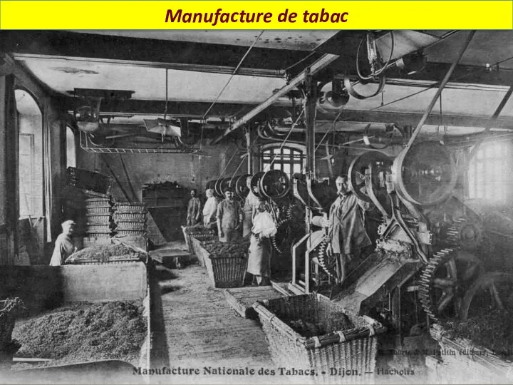 Manufacture de tabac