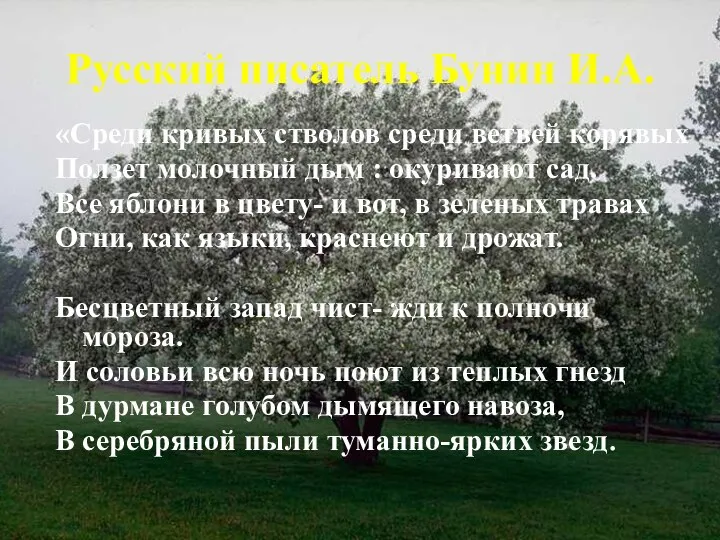 Русский писатель Бунин И.А. «Среди кривых стволов среди ветвей корявых Ползет