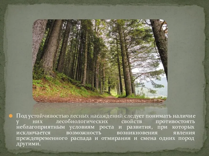 Под устойчивостью лесных насаждений следует понимать наличие у них лесобиологических свойств