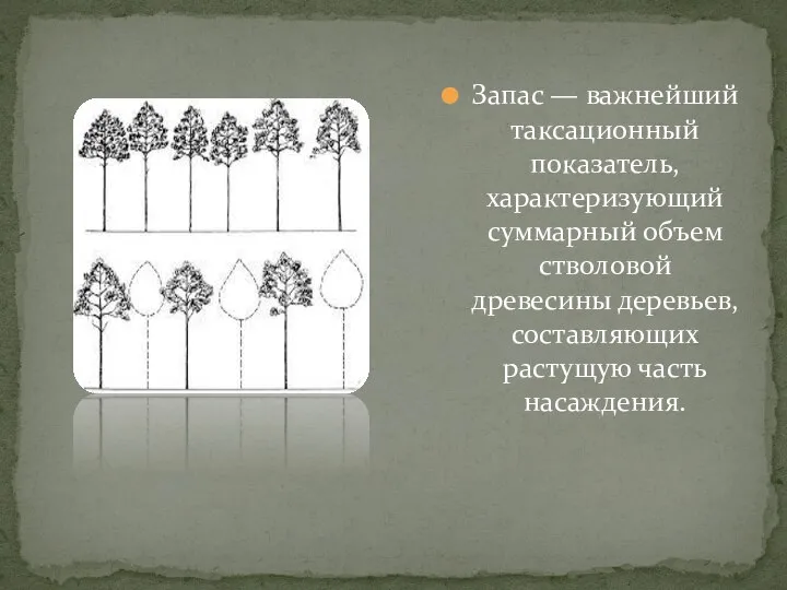 Запас — важнейший таксационный показатель, характеризующий суммарный объем стволовой древесины деревьев, составляющих растущую часть насаждения.