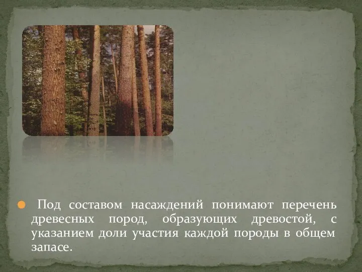 Под составом насаждений понимают перечень древесных пород, образующих древостой, с указанием