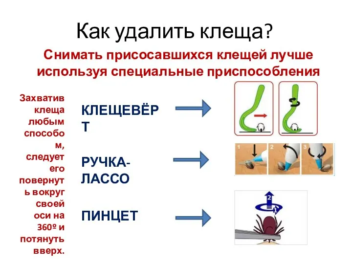 Как удалить клеща? Снимать присосавшихся клещей лучше используя специальные приспособления КЛЕЩЕВЁРТ