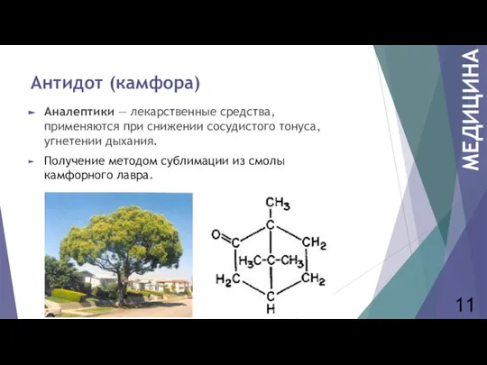 Антидот (камфора) Аналептики — лекарственные средства, применяются при снижении сосудистого тонуса,