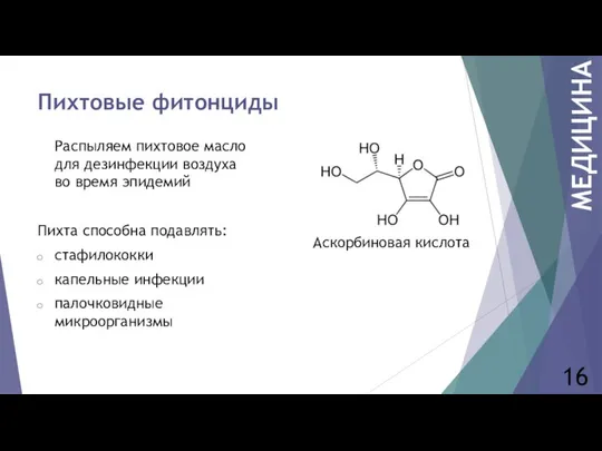 Распыляем пихтовое масло для дезинфекции воздуха во время эпидемий Пихта способна