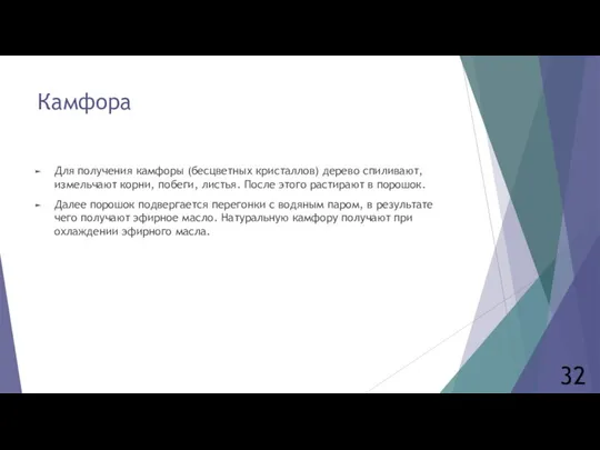 Камфора Для получения камфоры (бесцветных кристаллов) дерево спиливают, измельчают корни, побеги,