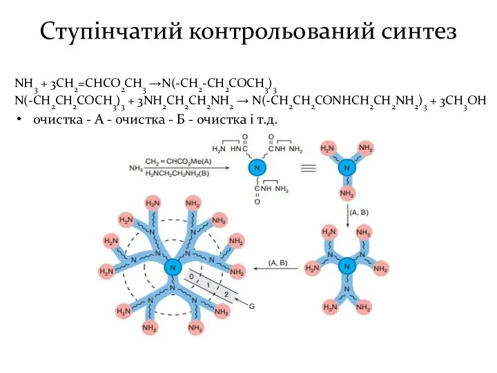 Ступінчатий контрольований синтез NH3 + 3CH2=CHCO2CH3 →N(-CH2-CH2COCH3)3 N(-CH2CH2COCH3)3 + 3NH2CH2CH2NH2 →