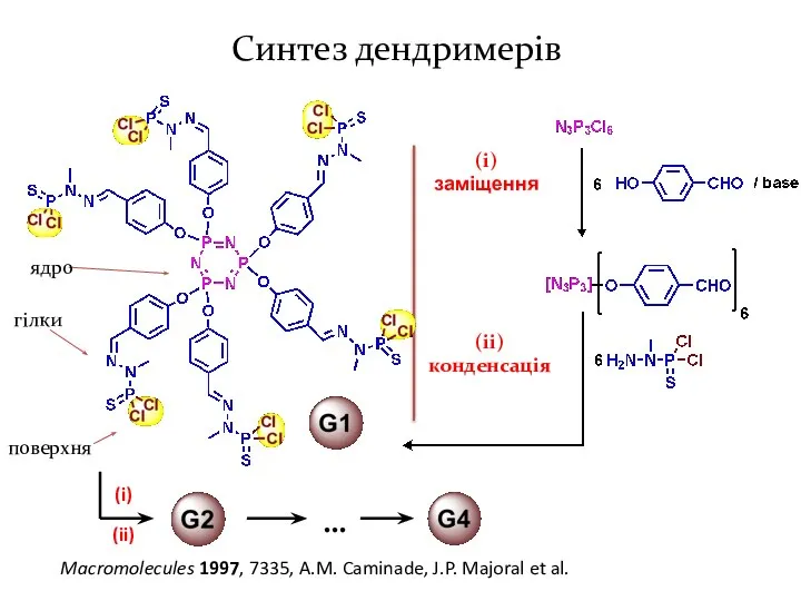 (i) заміщення (ii) конденсація ядро гілки … (ii) (i) Синтез дендримерів