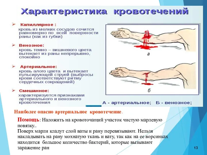 Помощь: Наложить на кровоточащий участок чистую марлевую повязку.. Поверх марли кладут