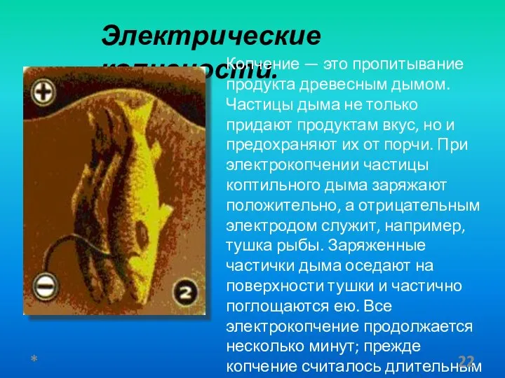 Электрические копчености. Копчение — это пропитывание продукта древесным дымом. Частицы дыма