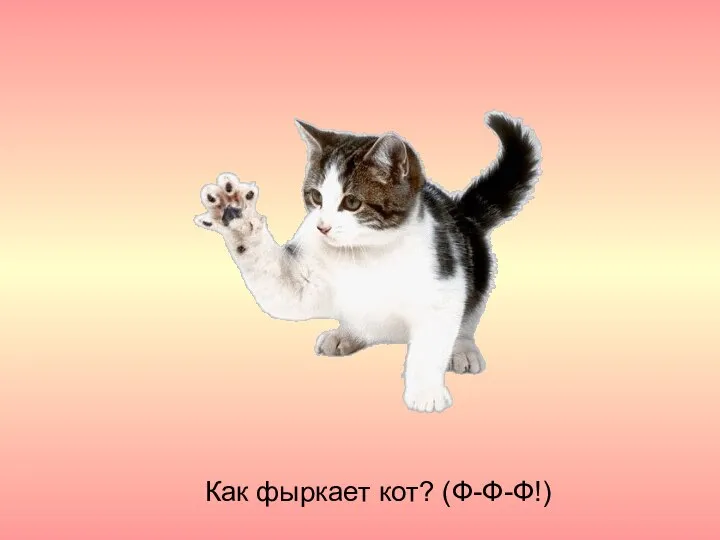 Как фыркает кот? (Ф-Ф-Ф!)