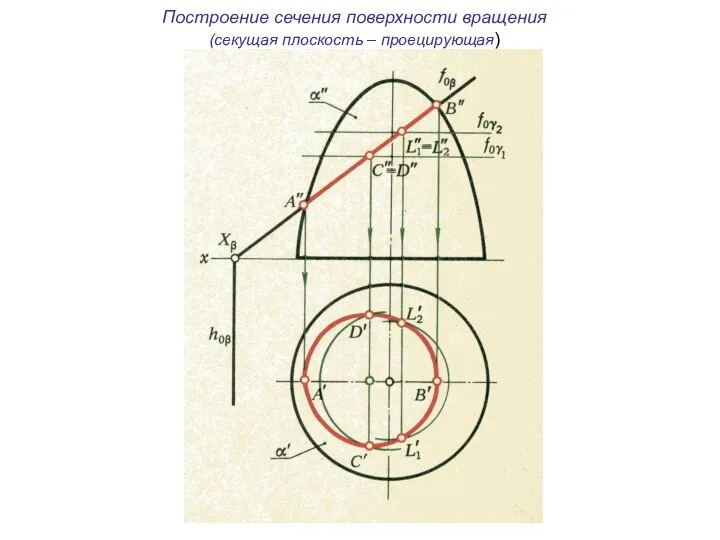 Построение сечения поверхности вращения (секущая плоскость – проецирующая)