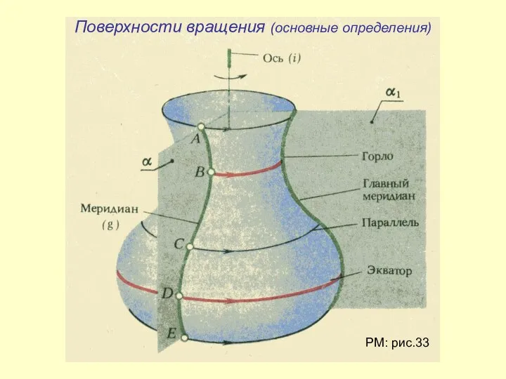 Поверхности вращения (основные определения) РМ: рис.33