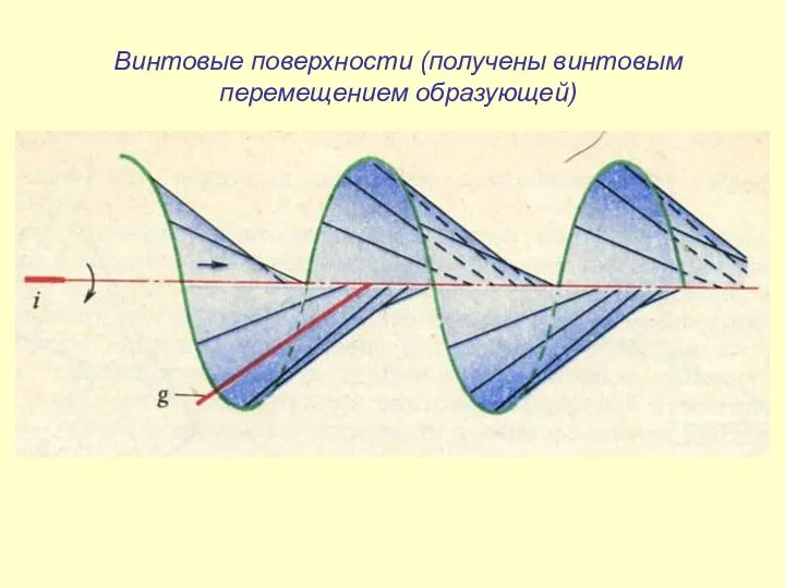 Винтовые поверхности (получены винтовым перемещением образующей)