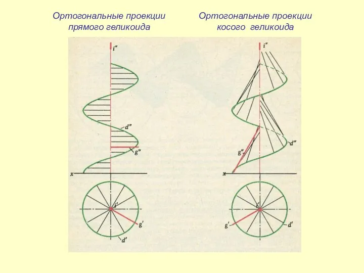 Ортогональные проекции прямого геликоида Ортогональные проекции косого геликоида