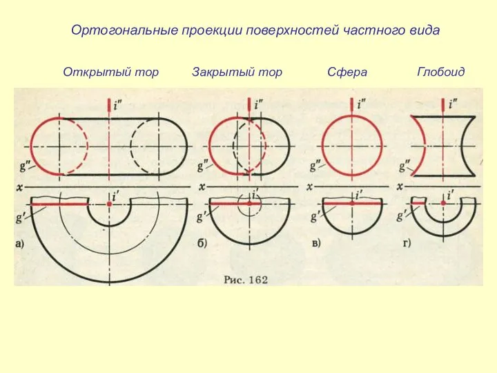 Ортогональные проекции поверхностей частного вида Открытый тор Закрытый тор Сфера Глобоид