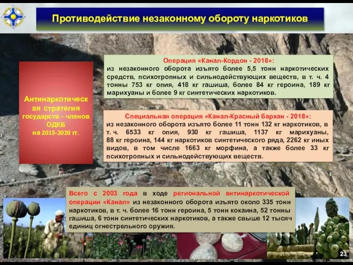 Противодействие незаконному обороту наркотиков Всего с 2003 года в ходе региональной