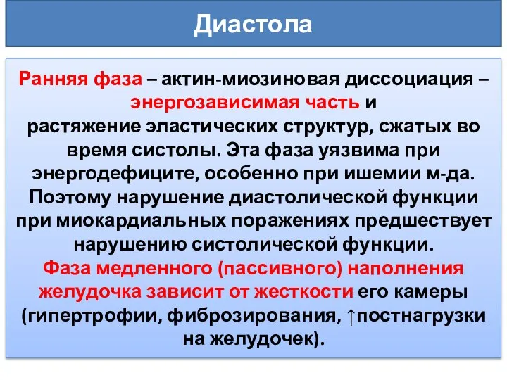 Диастола Ранняя фаза – актин-миозиновая диссоциация – энергозависимая часть и растяжение