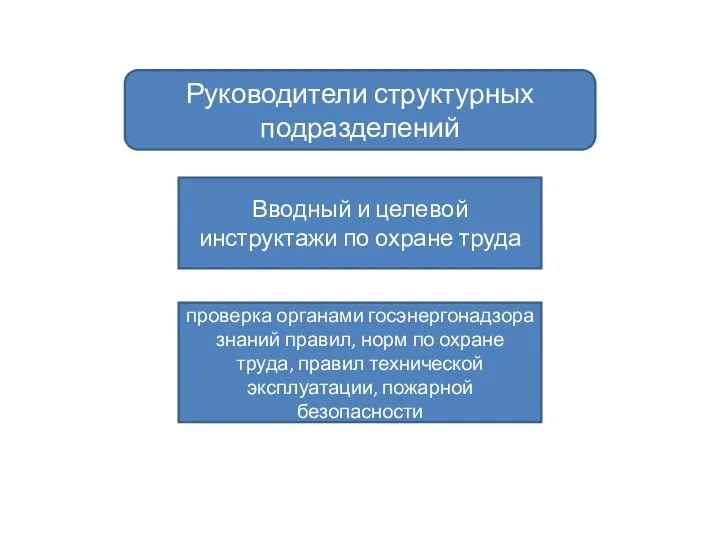 Руководители структурных подразделений Вводный и целевой инструктажи по охране труда проверка