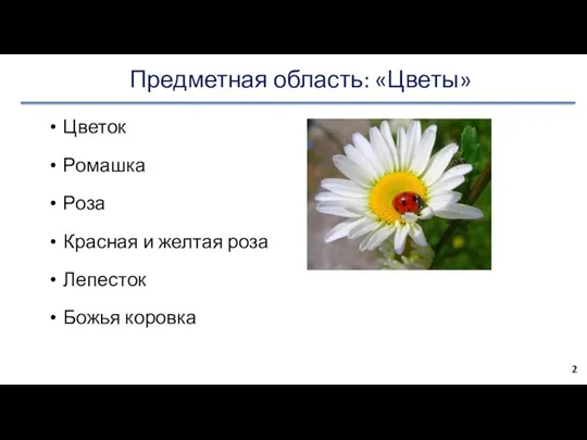 Предметная область: «Цветы» Цветок Ромашка Роза Красная и желтая роза Лепесток Божья коровка