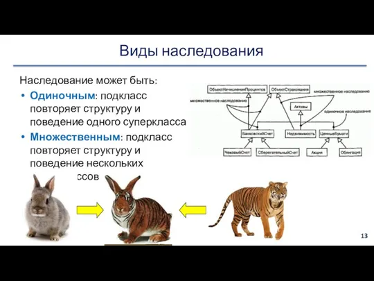 Виды наследования Наследование может быть: Одиночным: подкласс повторяет структуру и поведение