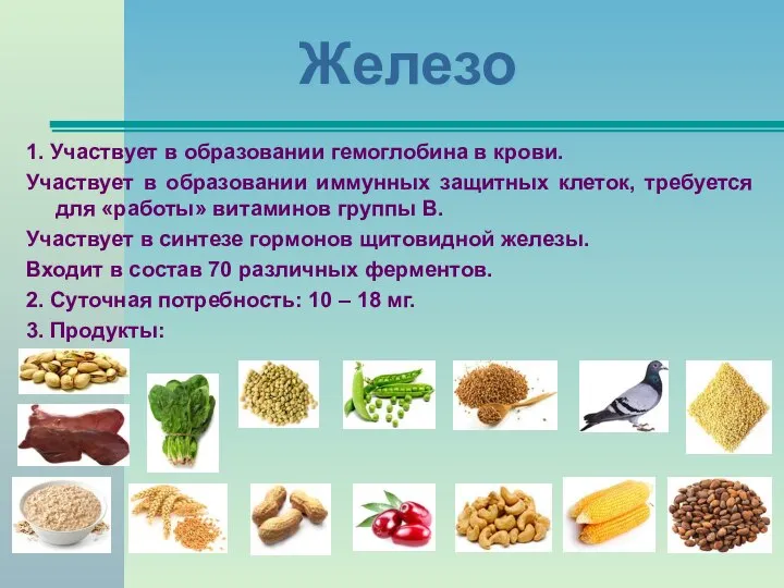 Железо 1. Участвует в образовании гемоглобина в крови. Участвует в образовании