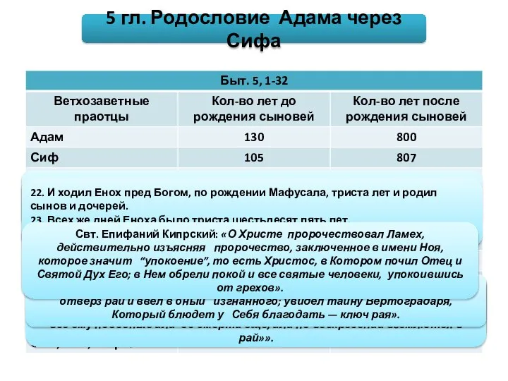 5 гл. Родословие Адама через Сифа Прп. Ефрем Сирин: «В Сифе,