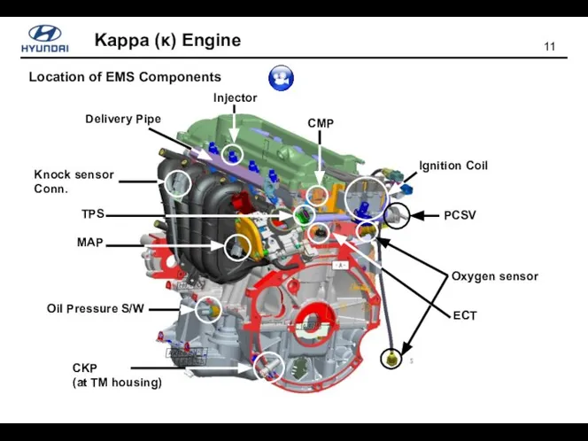 Location of EMS Components Injector Delivery Pipe CMP TPS MAP Oil