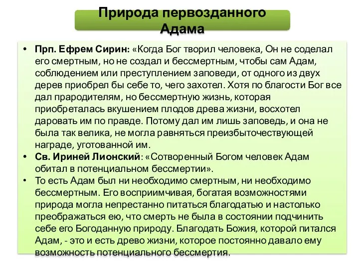 Прп. Ефрем Сирин: «Когда Бог творил человека, Он не соделал его