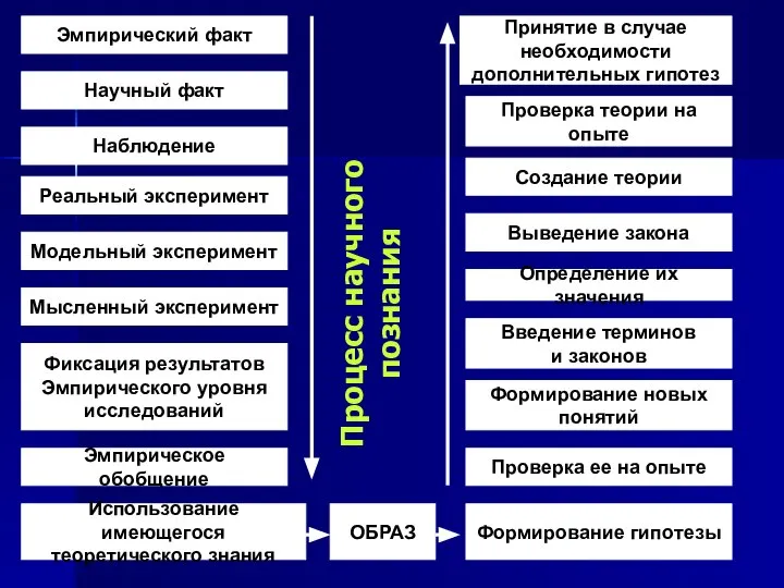 Процесс научного познания Эмпирический факт Научный факт Наблюдение Реальный эксперимент Модельный