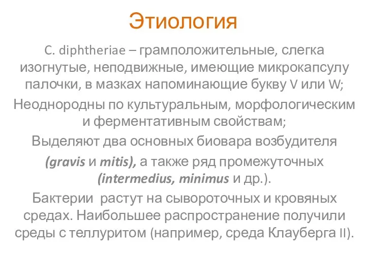 Этиология C. diphtheriae – грамположительные, слегка изогнутые, неподвижные, имеющие микрокапсулу палочки,