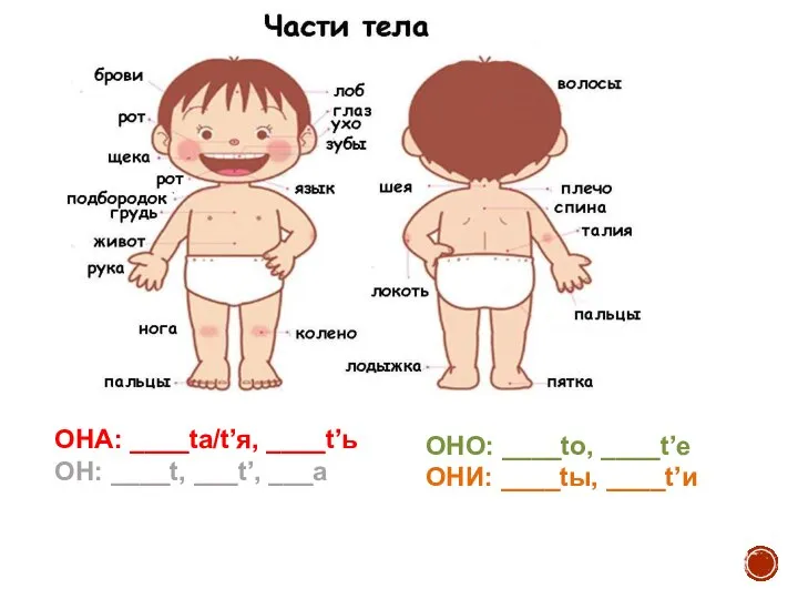 ОНА: ____tа/t’я, ____t’ь ОН: ____t, ___t’, ___a ОНО: ____to, ____t’e ОНИ: ____tы, ____t’и