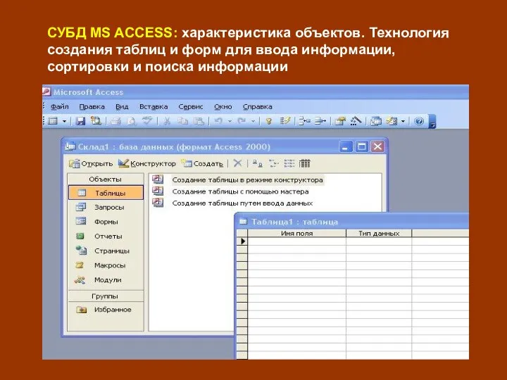 СУБД MS ACCESS: характеристика объектов. Технология создания таблиц и форм для