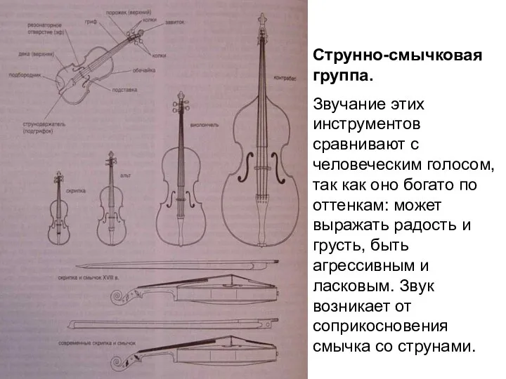 Струнно-смычковая группа. Звучание этих инструментов сравнивают с человеческим голосом, так как