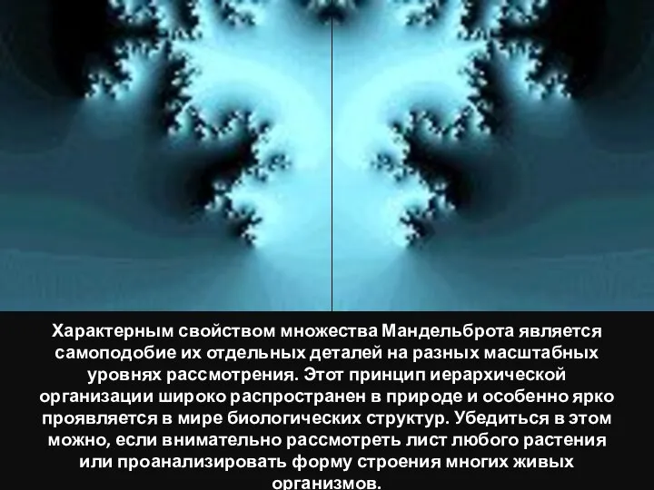 Характерным свойством множества Мандельброта является самоподобие их отдельных деталей на разных