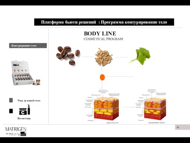 Платформа бьюти решений : Программа контурирование тело BODY LINE COSMETICAL PROGRAM Контурирвание тело