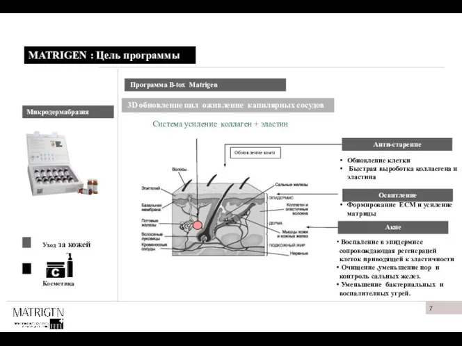 MATRIGEN : Цель программы Программа B-tox Мatrigen 3D обновление пил оживление