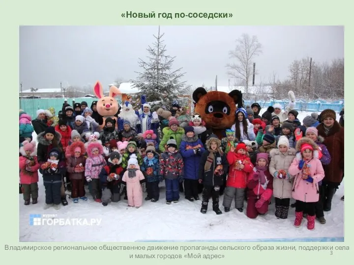 Владимирское региональное общественное движение пропаганды сельского образа жизни, поддержки села и