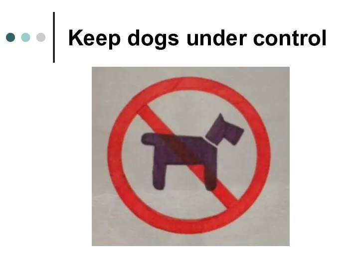 Keep dogs under control