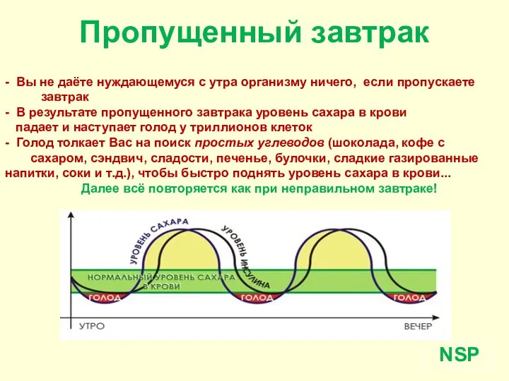 Пропущенный завтрак - Вы не даёте нуждающемуся с утра организму ничего,