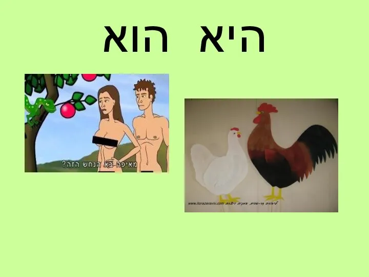 היא הוא