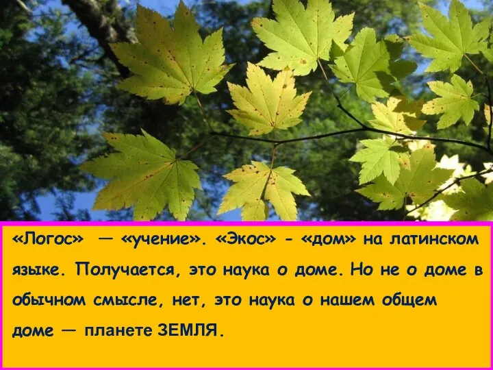 «Логос» — «учение». «Экос» - «дом» на латинском языке. Получается, это