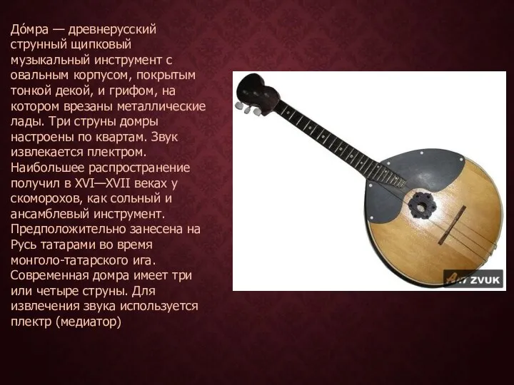До́мра — древнерусский струнный щипковый музыкальный инструмент с овальным корпусом, покрытым