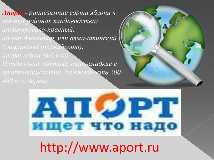 http://www.aport.ru Апорт - раннезимние сорта яблони в южных районах плодоводства: апорткроваво-красный,