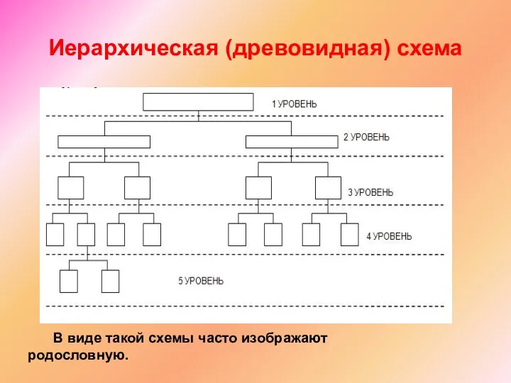 Иерархическая (древовидная) схема В виде такой схемы часто изображают родословную.
