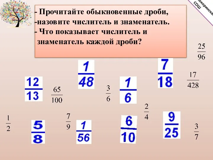 Прочитайте обыкновенные дроби, назовите числитель и знаменатель. Что показывает числитель и знаменатель каждой дроби?