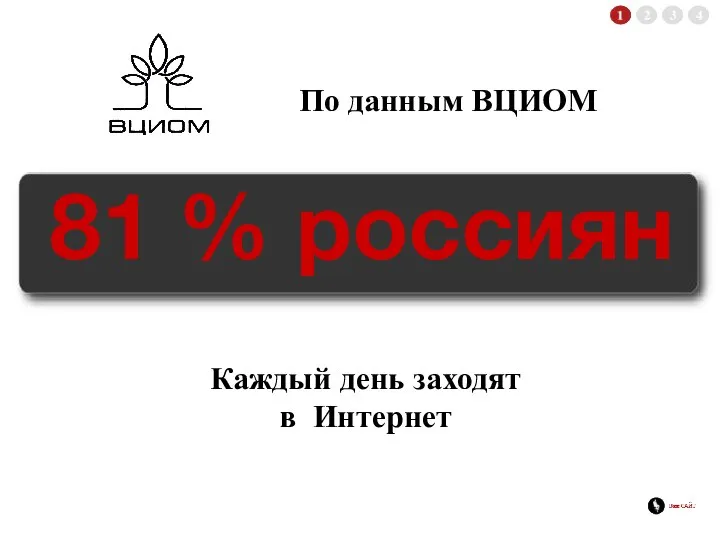 По данным ВЦИОМ 81 % россиян Каждый день заходят в Интернет