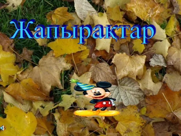 Жапырақтар