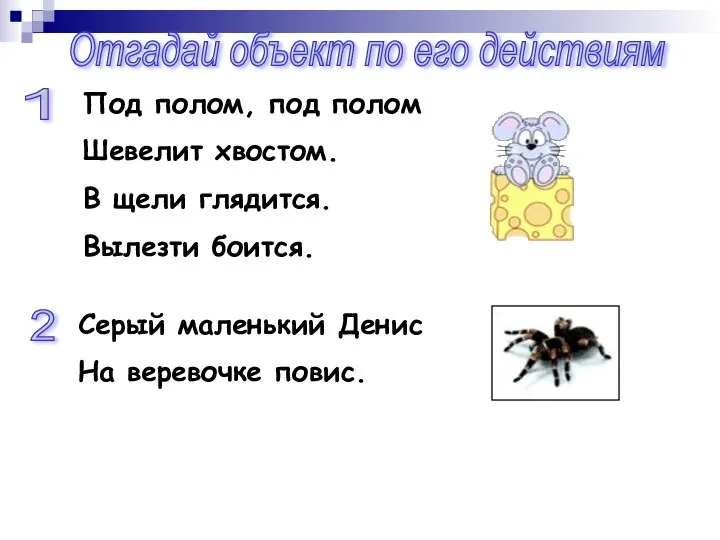 Отгадай объект по его действиям Под полом, под полом Шевелит хвостом.