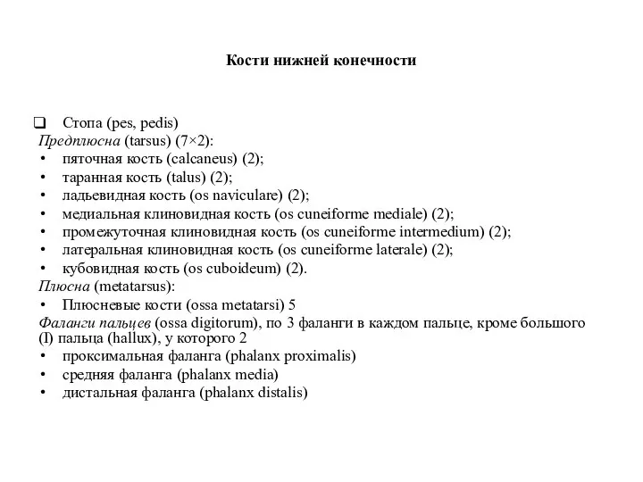 Кости нижней конечности Стопа (pes, pedis) Предплюсна (tarsus) (7×2): пяточная кость